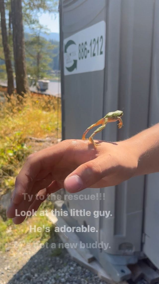 A real reel. 
Life on the jobsite. Yesterday I was building a set of stairs, and the heat was relatively intense for our neck of the woods. The outhouse is never my favourite place on a site, but it provided some entertainment and a chance for a rescue yesterday:) 
@ty.findlay 
#generalcontractor 
#sunshinecoastbc
#carpentry 
#buildingscience 
#customhomes 
#architecture